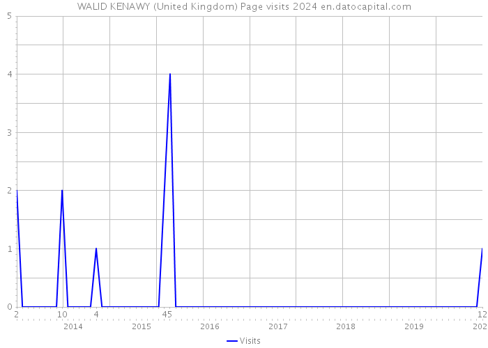 WALID KENAWY (United Kingdom) Page visits 2024 