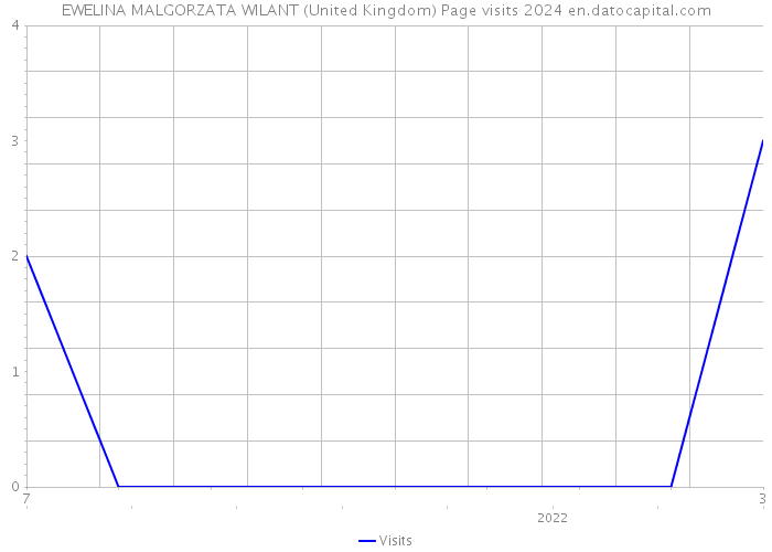 EWELINA MALGORZATA WILANT (United Kingdom) Page visits 2024 