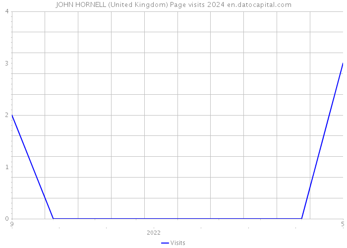 JOHN HORNELL (United Kingdom) Page visits 2024 