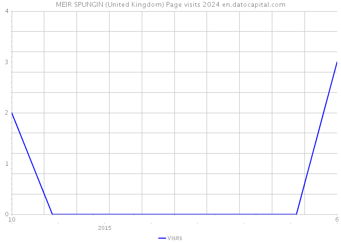 MEIR SPUNGIN (United Kingdom) Page visits 2024 