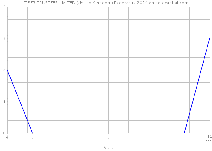 TIBER TRUSTEES LIMITED (United Kingdom) Page visits 2024 