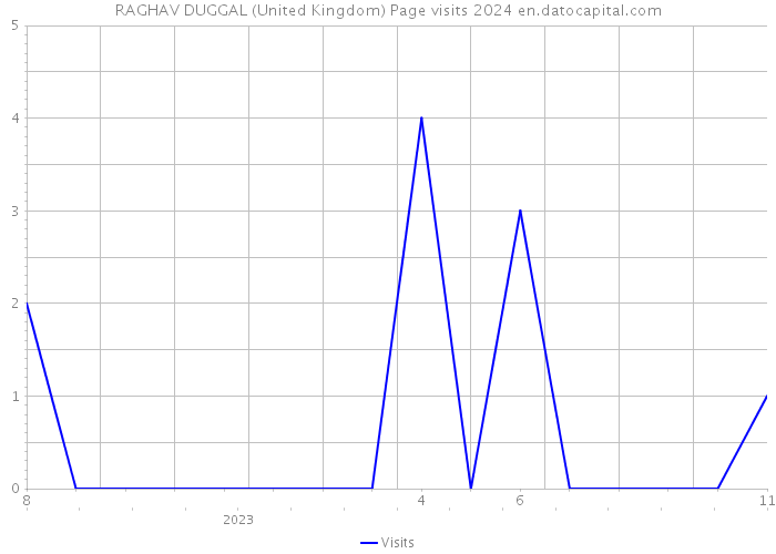RAGHAV DUGGAL (United Kingdom) Page visits 2024 
