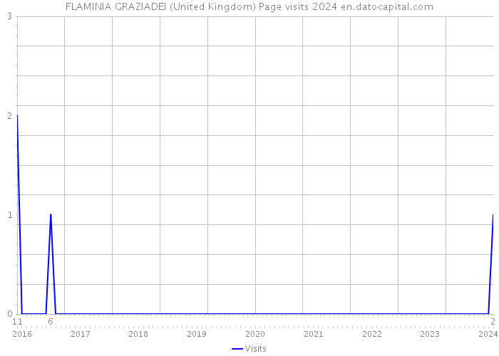 FLAMINIA GRAZIADEI (United Kingdom) Page visits 2024 