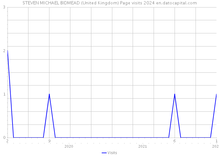 STEVEN MICHAEL BIDMEAD (United Kingdom) Page visits 2024 