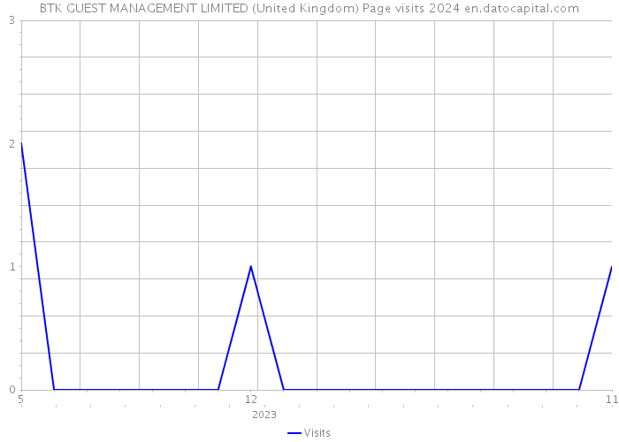 BTK GUEST MANAGEMENT LIMITED (United Kingdom) Page visits 2024 