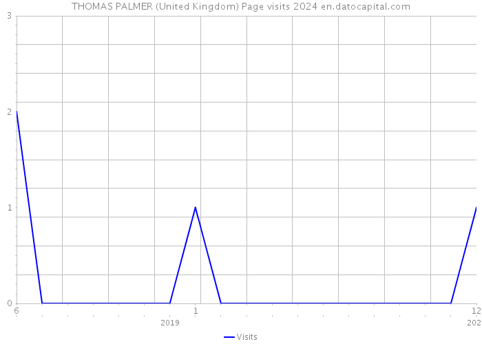 THOMAS PALMER (United Kingdom) Page visits 2024 