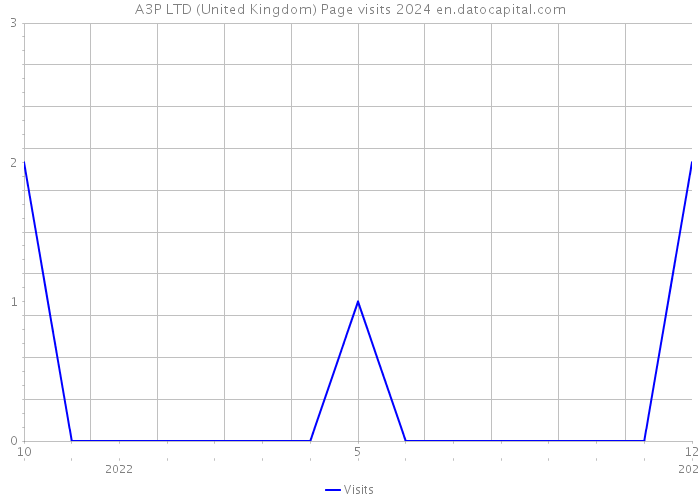 A3P LTD (United Kingdom) Page visits 2024 