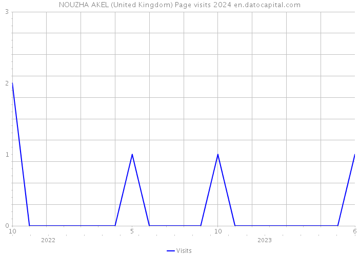 NOUZHA AKEL (United Kingdom) Page visits 2024 
