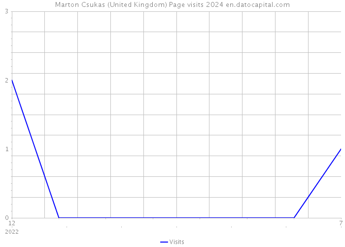 Marton Csukas (United Kingdom) Page visits 2024 