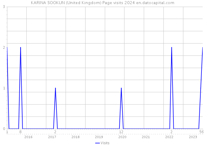 KARINA SOOKUN (United Kingdom) Page visits 2024 