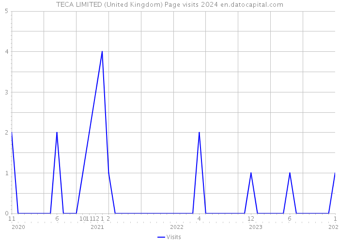 TECA LIMITED (United Kingdom) Page visits 2024 