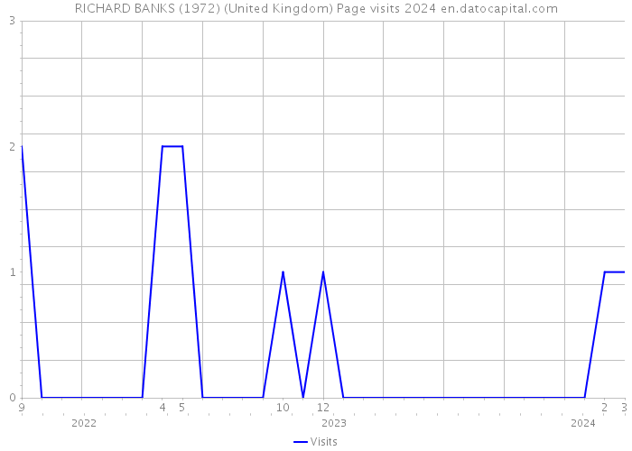 RICHARD BANKS (1972) (United Kingdom) Page visits 2024 