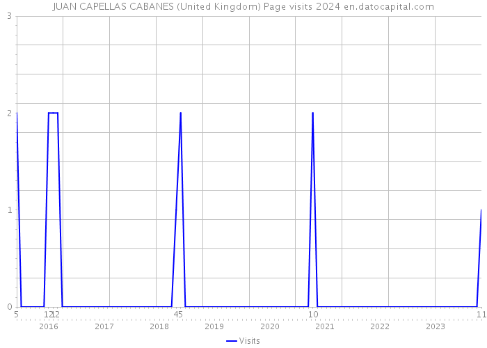 JUAN CAPELLAS CABANES (United Kingdom) Page visits 2024 