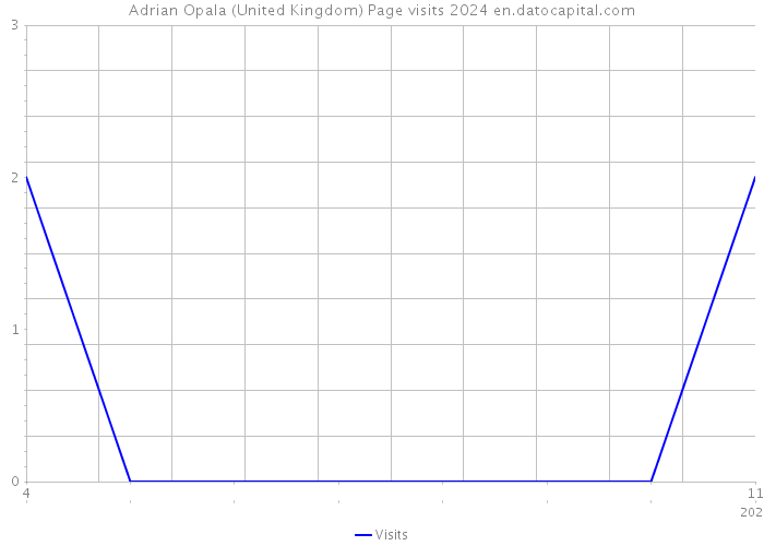 Adrian Opala (United Kingdom) Page visits 2024 