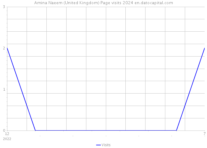Amina Naeem (United Kingdom) Page visits 2024 