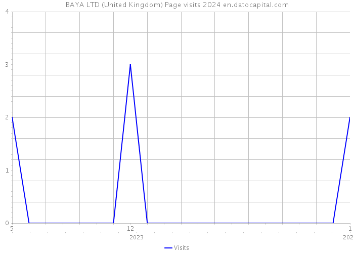BAYA LTD (United Kingdom) Page visits 2024 