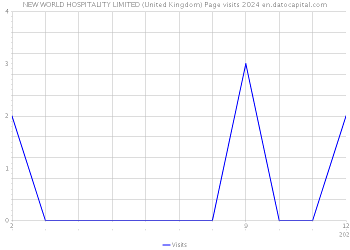 NEW WORLD HOSPITALITY LIMITED (United Kingdom) Page visits 2024 