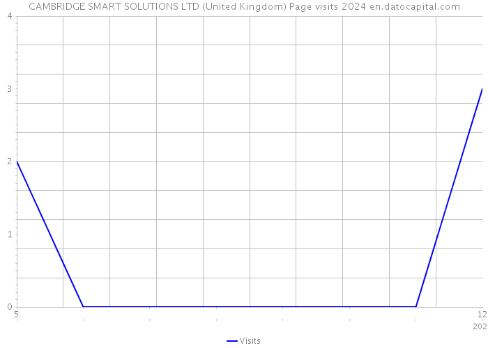 CAMBRIDGE SMART SOLUTIONS LTD (United Kingdom) Page visits 2024 