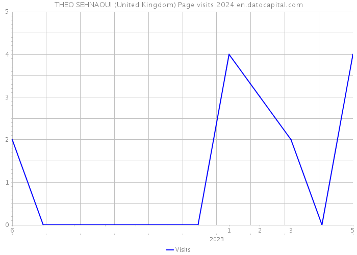 THEO SEHNAOUI (United Kingdom) Page visits 2024 