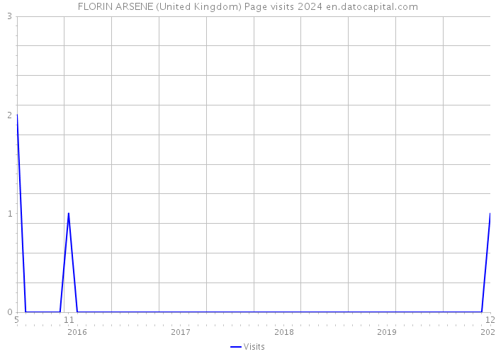 FLORIN ARSENE (United Kingdom) Page visits 2024 