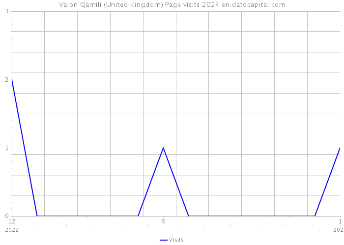 Valon Qamili (United Kingdom) Page visits 2024 