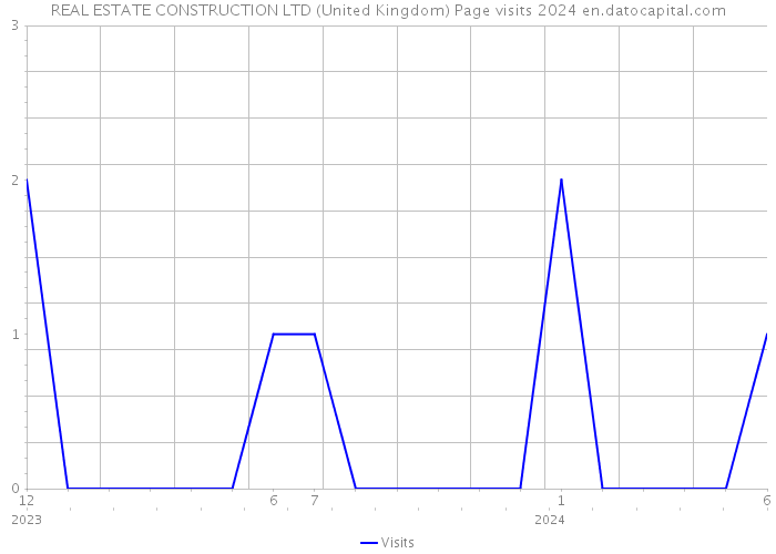 REAL ESTATE CONSTRUCTION LTD (United Kingdom) Page visits 2024 