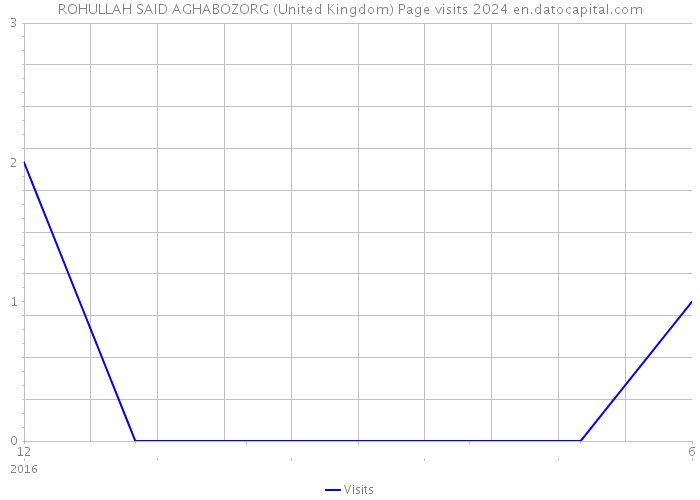 ROHULLAH SAID AGHABOZORG (United Kingdom) Page visits 2024 