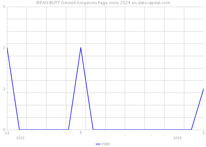 IRFAN BUTT (United Kingdom) Page visits 2024 