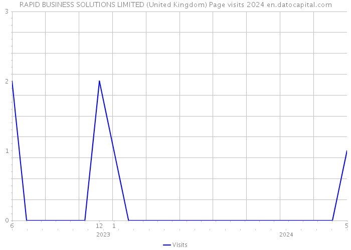 RAPID BUSINESS SOLUTIONS LIMITED (United Kingdom) Page visits 2024 