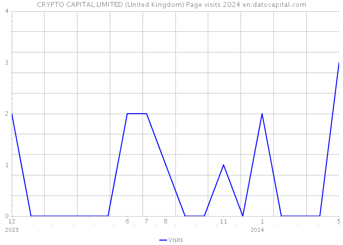 CRYPTO CAPITAL LIMITED (United Kingdom) Page visits 2024 