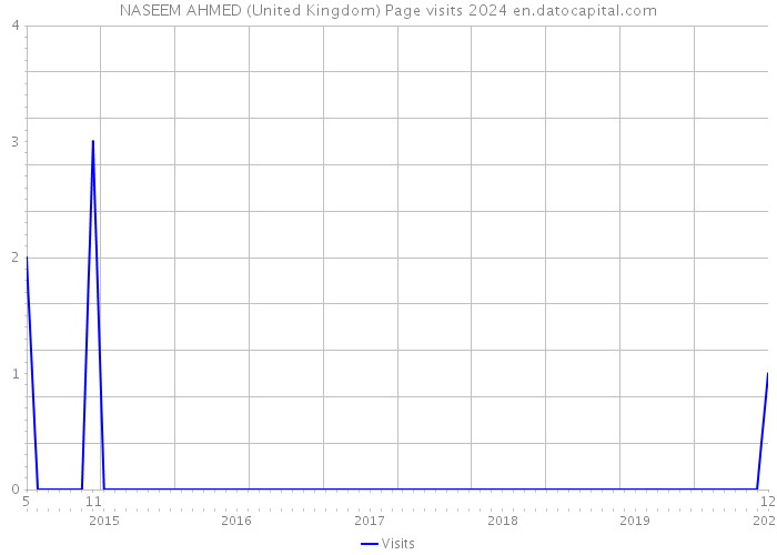 NASEEM AHMED (United Kingdom) Page visits 2024 