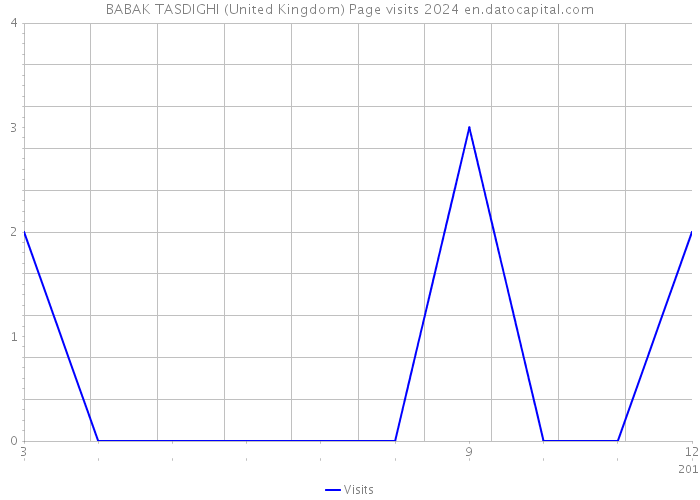 BABAK TASDIGHI (United Kingdom) Page visits 2024 