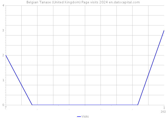 Belgian Tanase (United Kingdom) Page visits 2024 