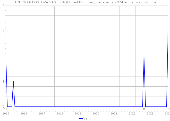 TODORKA KOSTOVA VASILEVA (United Kingdom) Page visits 2024 