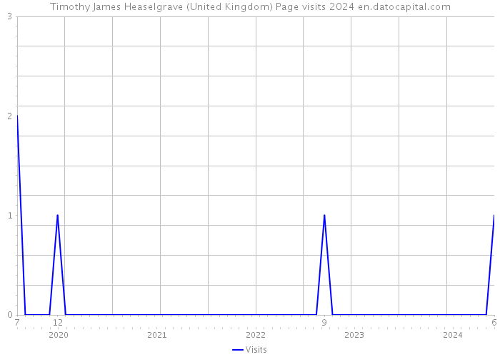 Timothy James Heaselgrave (United Kingdom) Page visits 2024 