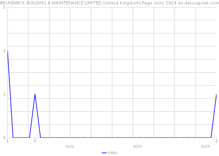 BRUNSWICK BUILDING & MAINTENANCE LIMITED (United Kingdom) Page visits 2024 