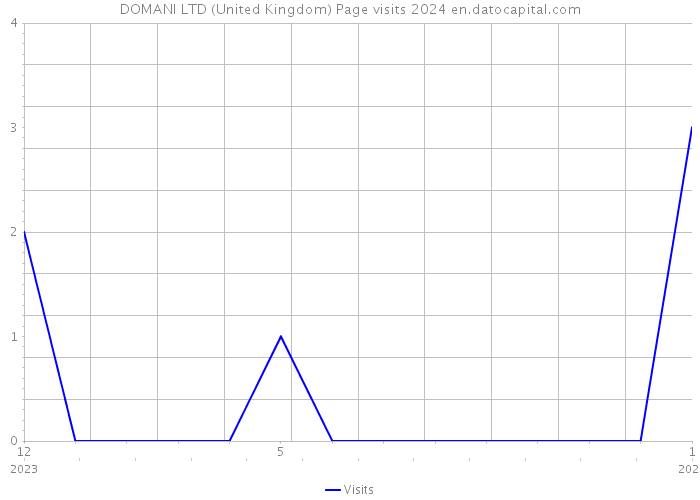 DOMANI LTD (United Kingdom) Page visits 2024 