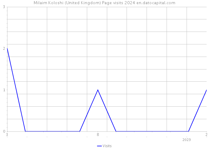 Milaim Koloshi (United Kingdom) Page visits 2024 
