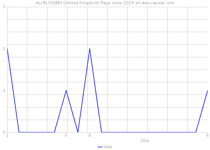 ALI ELYASERI (United Kingdom) Page visits 2024 
