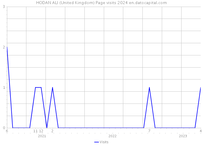 HODAN ALI (United Kingdom) Page visits 2024 