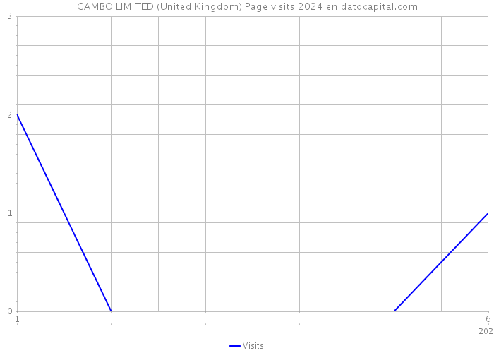 CAMBO LIMITED (United Kingdom) Page visits 2024 