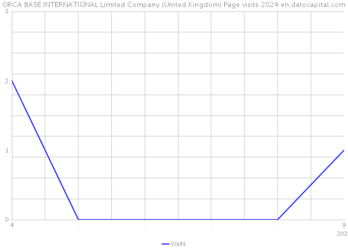 ORCA BASE INTERNATIONAL Limited Company (United Kingdom) Page visits 2024 