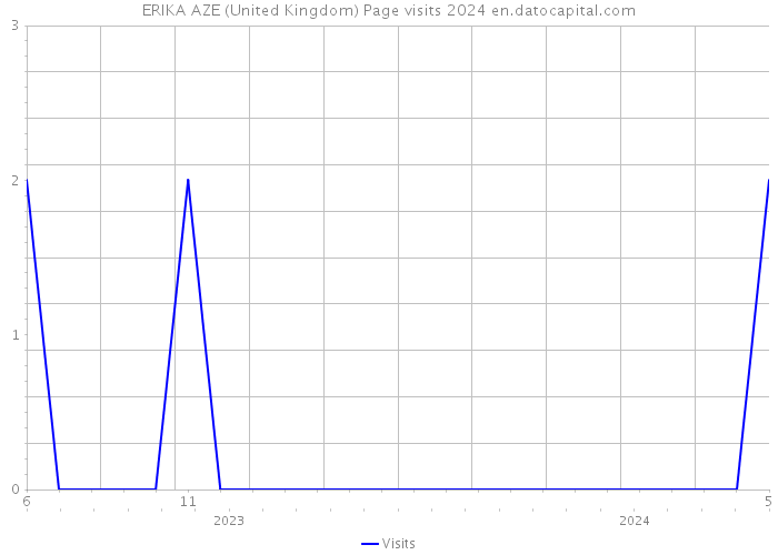 ERIKA AZE (United Kingdom) Page visits 2024 