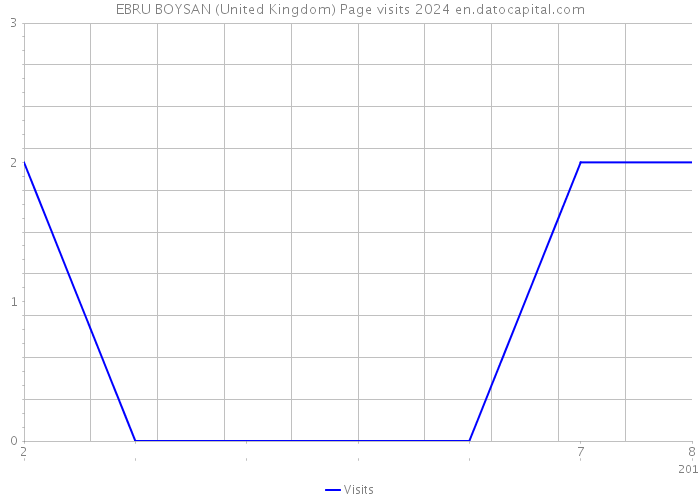 EBRU BOYSAN (United Kingdom) Page visits 2024 