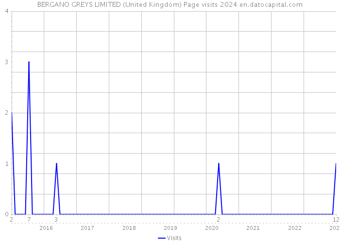 BERGANO GREYS LIMITED (United Kingdom) Page visits 2024 
