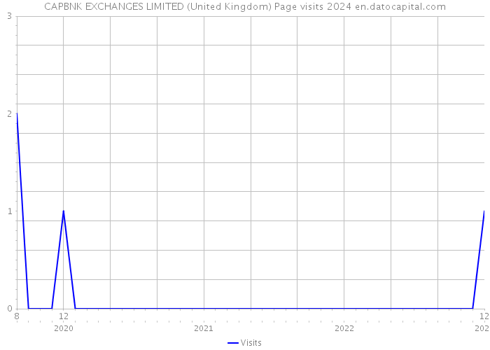 CAPBNK EXCHANGES LIMITED (United Kingdom) Page visits 2024 
