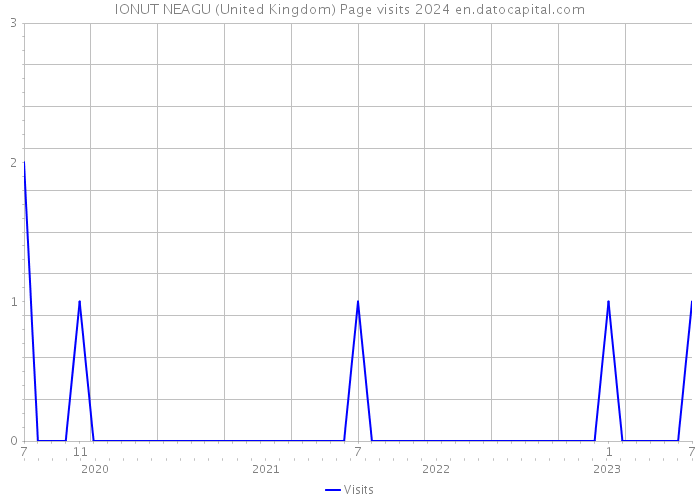 IONUT NEAGU (United Kingdom) Page visits 2024 