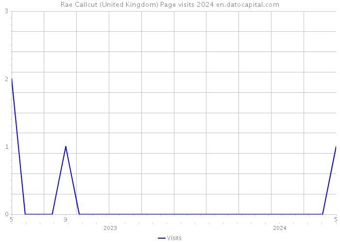 Rae Callcut (United Kingdom) Page visits 2024 