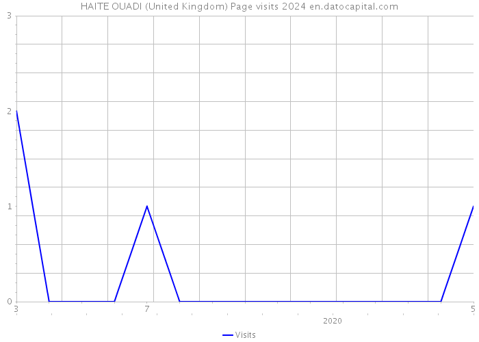 HAITE OUADI (United Kingdom) Page visits 2024 