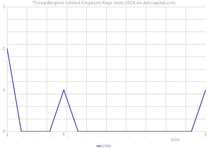 Triona Bargioni (United Kingdom) Page visits 2024 